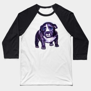 pit bull dog puppy - cute blue line pit bull with piercing blue eyes Baseball T-Shirt